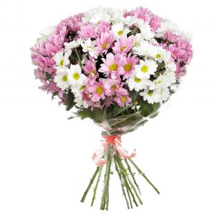 Букет из белых и розовых хризантем - купить с доставкой