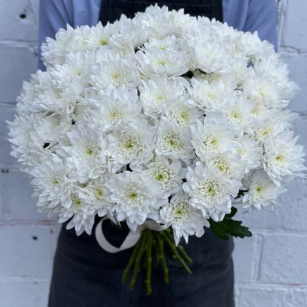 Белая кустовая хризантема - купить с доставкой
